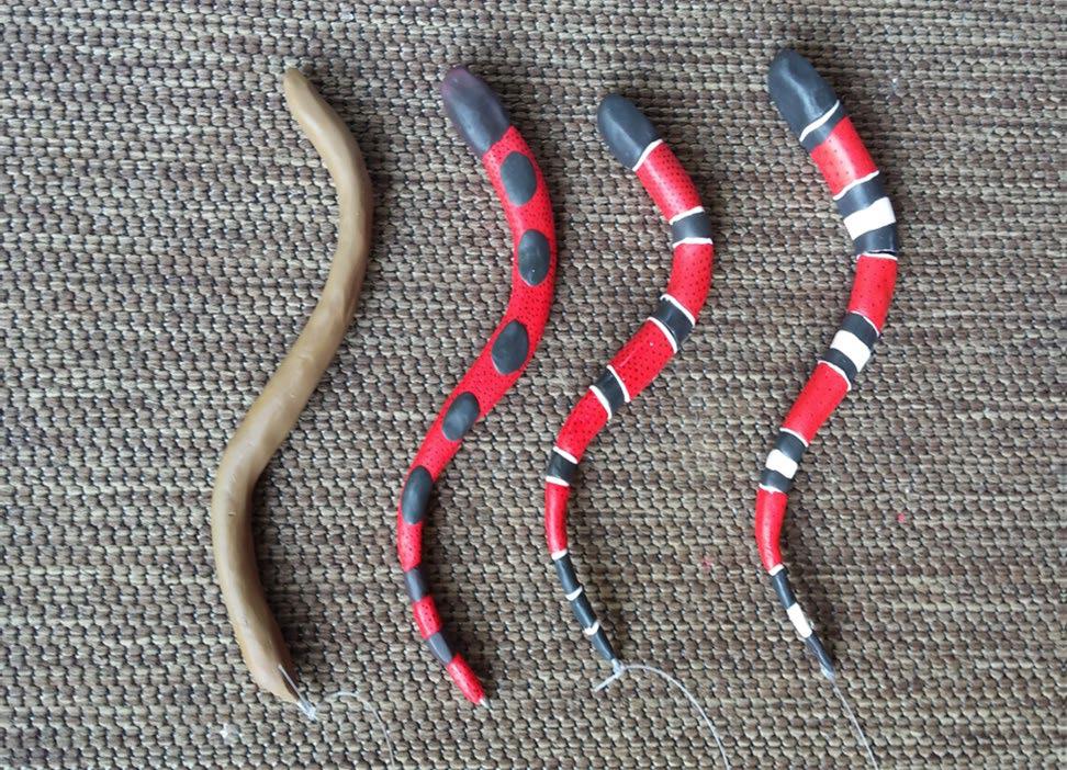 Clay snakes made for the field experiment.